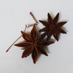 [mid_LCD73_Mother_1000x10001229445933.jpeg]