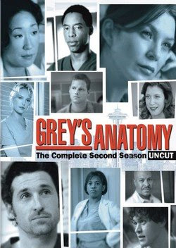 Greys Anatomy - Download 2ª Temporada Completa