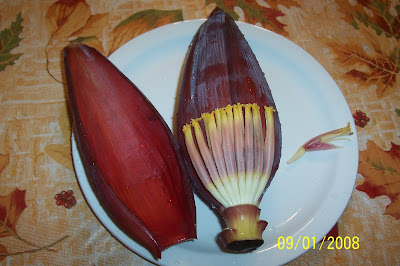 Banana Blossom