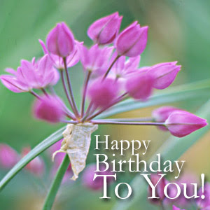 http://3.bp.blogspot.com/_v6gfCsyho2A/SSuFtSXE8gI/AAAAAAAAGe8/dQOLf-4cJv0/s400/Happy+Birthday+Flowers11.jpg