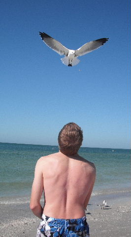 [Vacation+2009+3rd+day+Beach+Gene+feeding+bird.JPG]