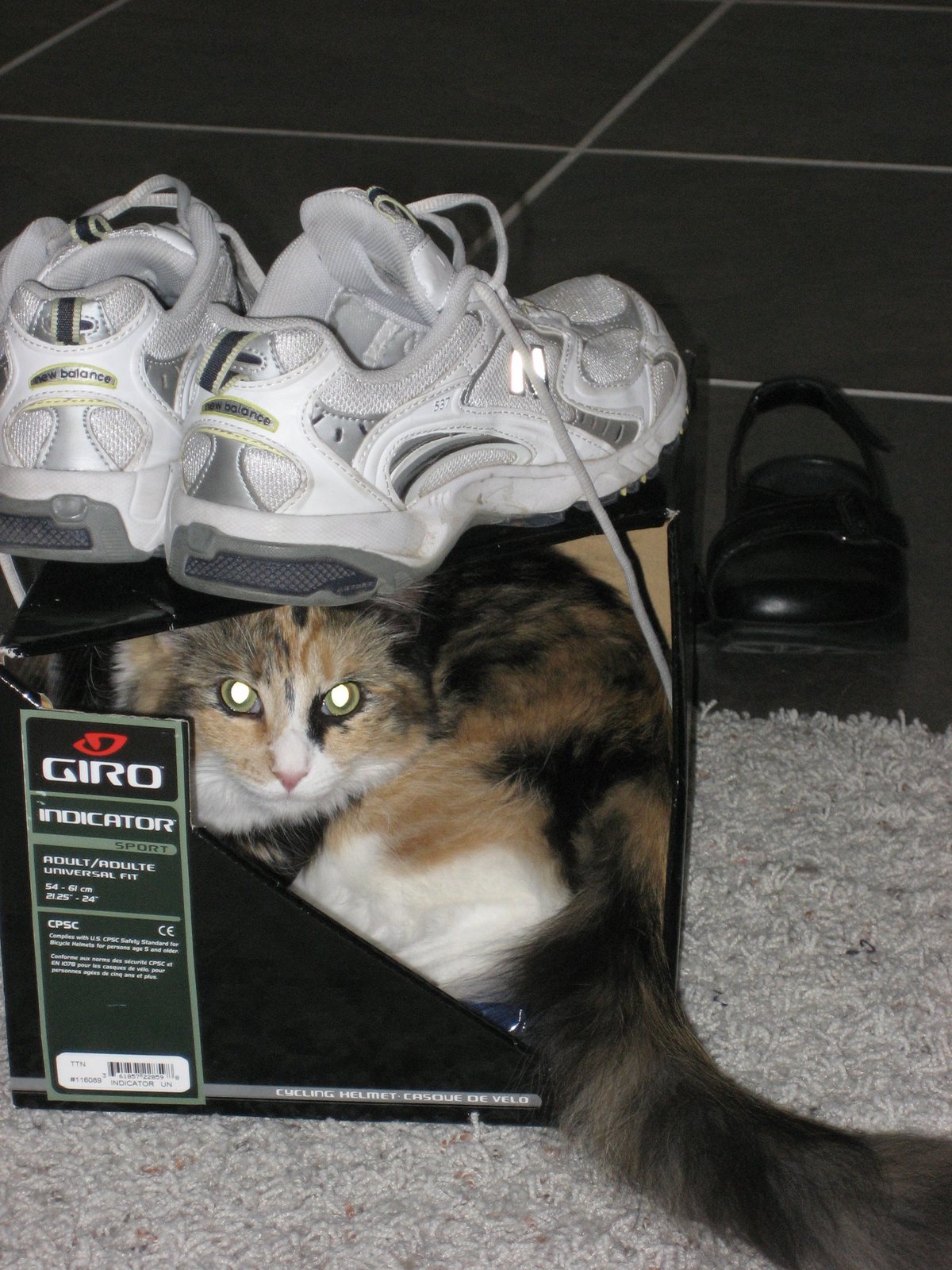 [Nala2.jpg]