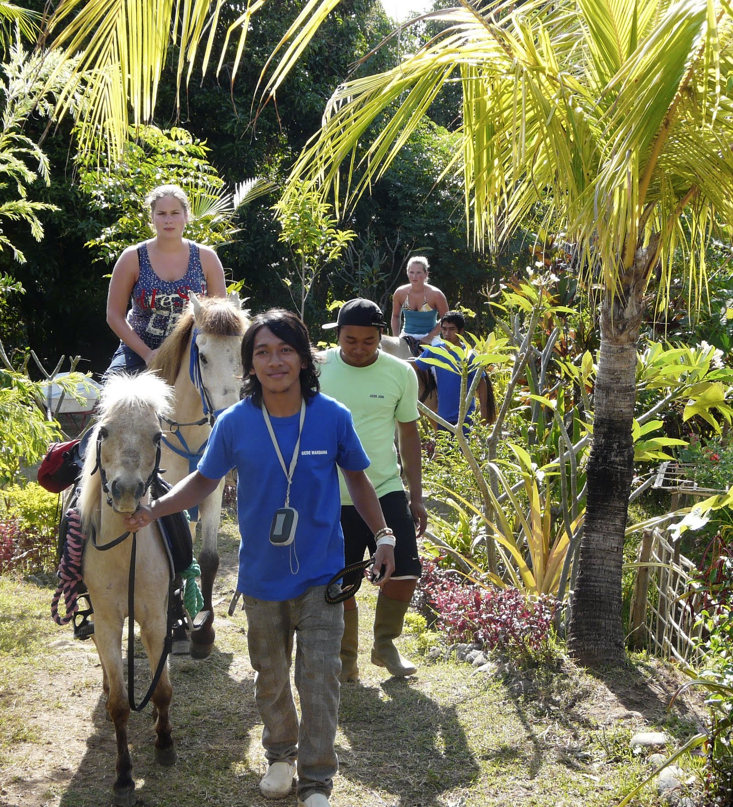 Pegasus Farm Spend a perfect day at Pegasus Farm