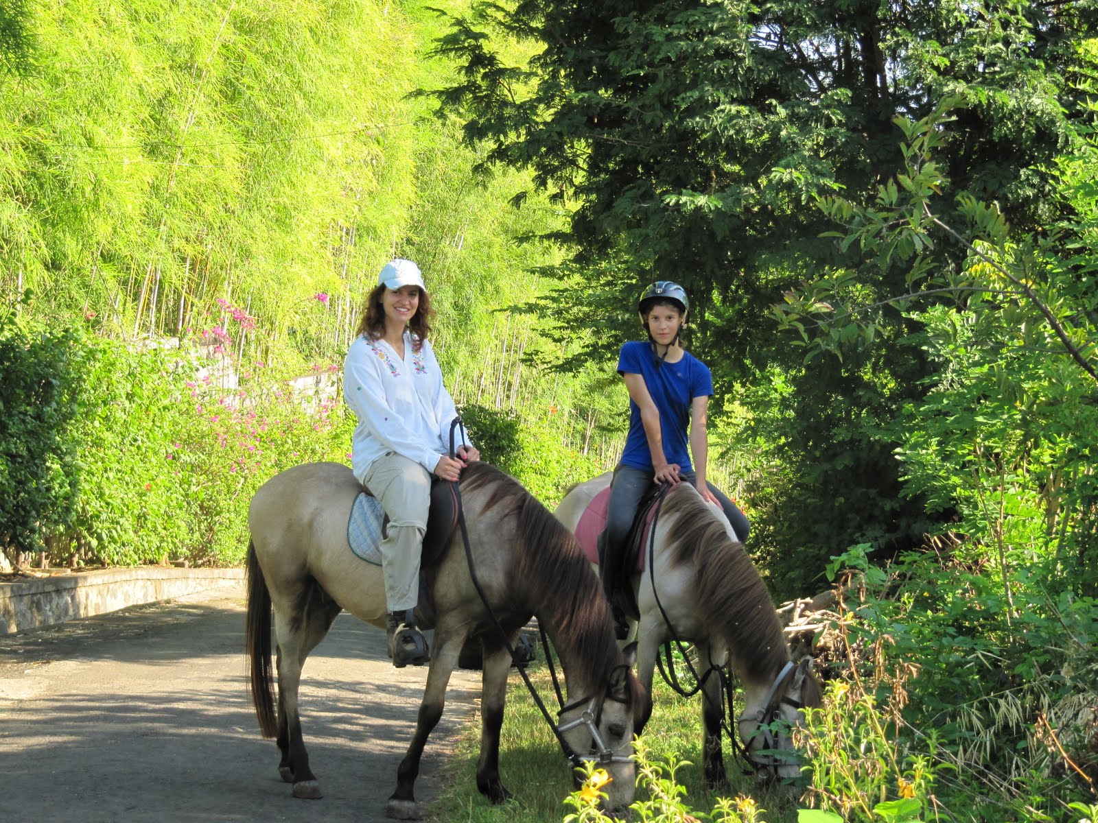 Pegasus Farm Spend a perfect day at Pegasus Farm