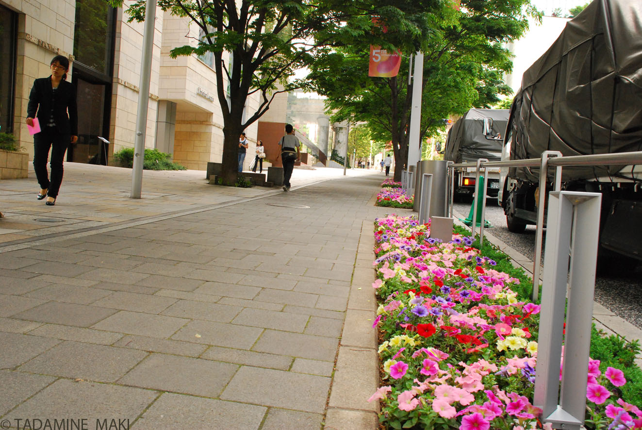 [080508tokyo.JPG]