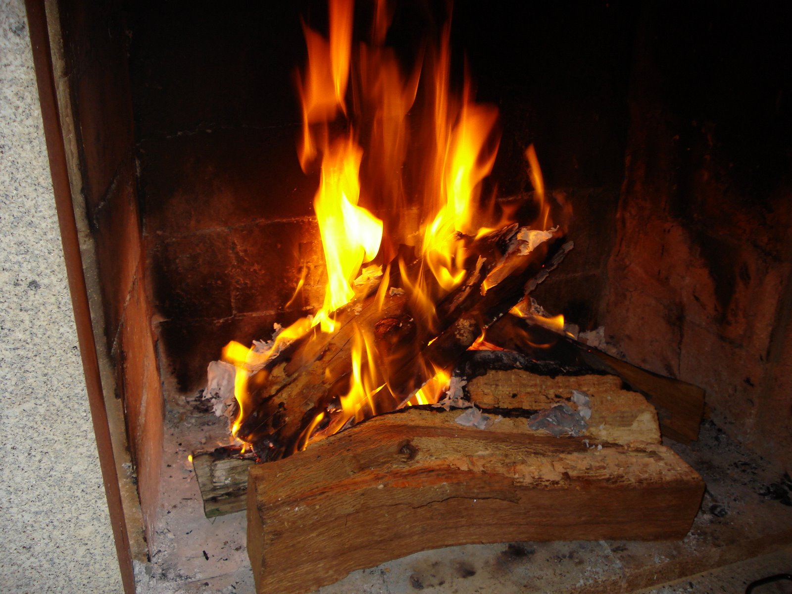 [DSC00424.JPG]