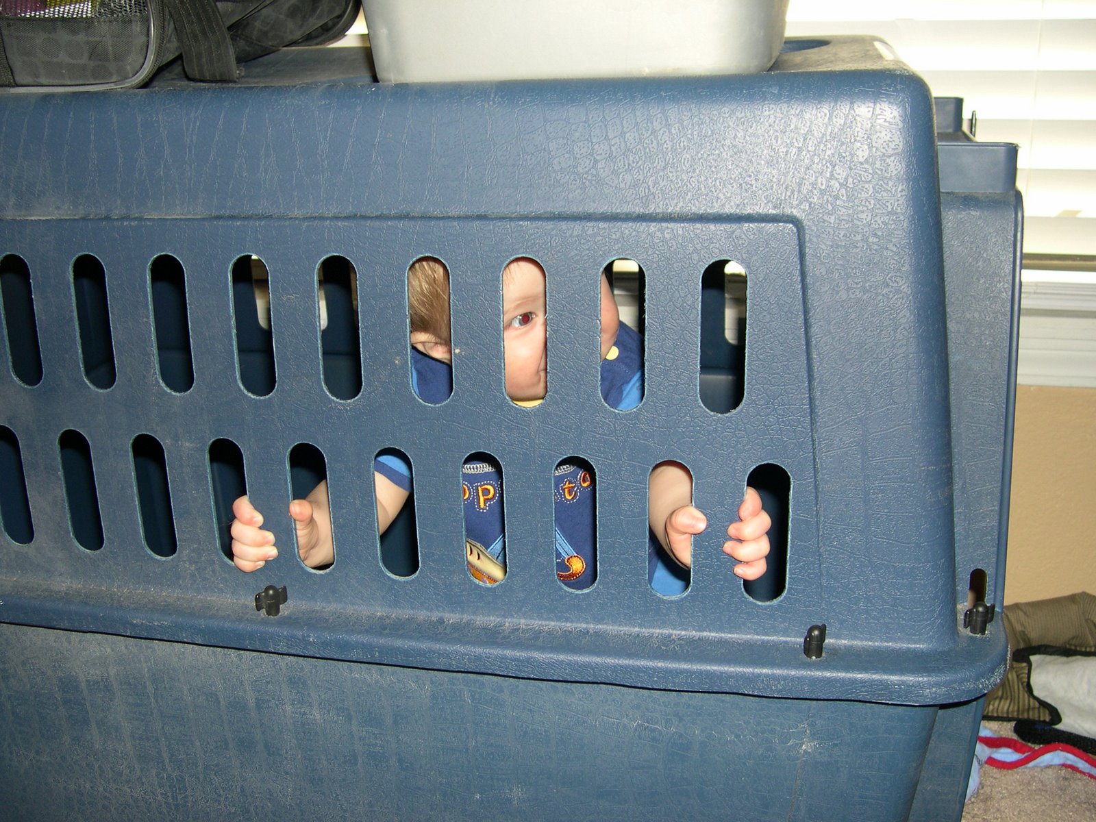 [cute+pics+010.JPG]