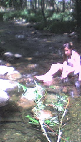 [DSC02443.JPG]