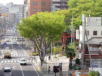 大宮氷川神社参道