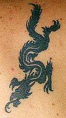 [dragons90.jpg]
