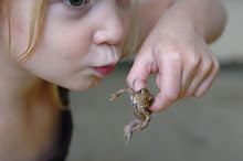 kissing the toad