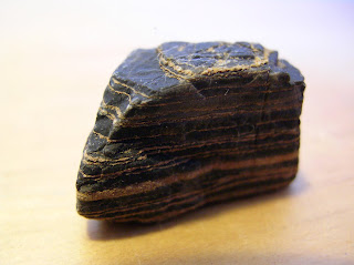 external image j2.JPG