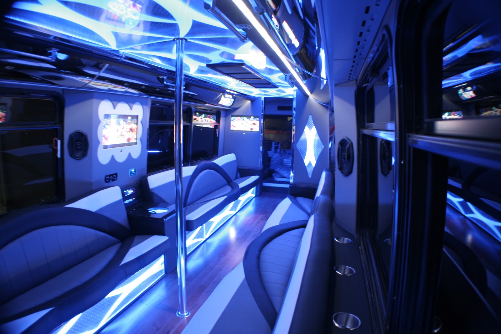 Party Bus Detroit 30 Passenger Party Bus