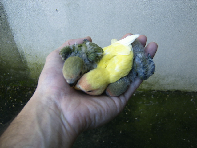 [DCAM5815.JPG]