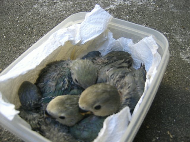 [DCAM2377.JPG]