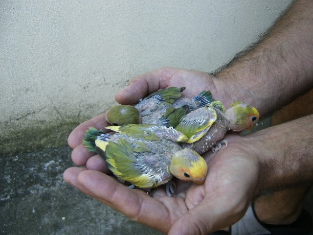 [DCAM4881.JPG]