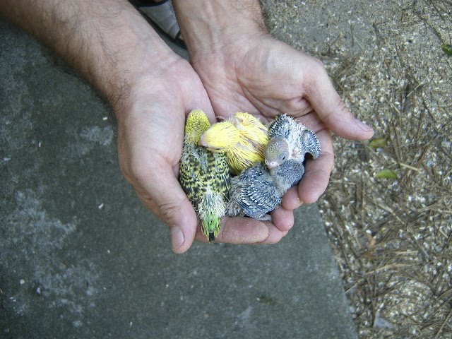 [DCAM5106.JPG]
