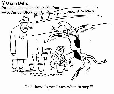 [080724_milkingcow.jpg]