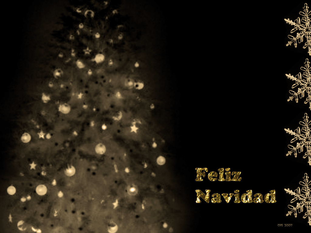 El Editorial: diciembre 2010