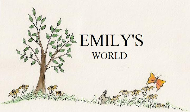 Emily's World