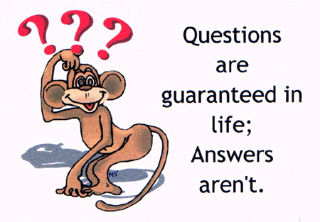 Funny Question amp; Answers 1 funny question. Funny Question amp; Answers 1