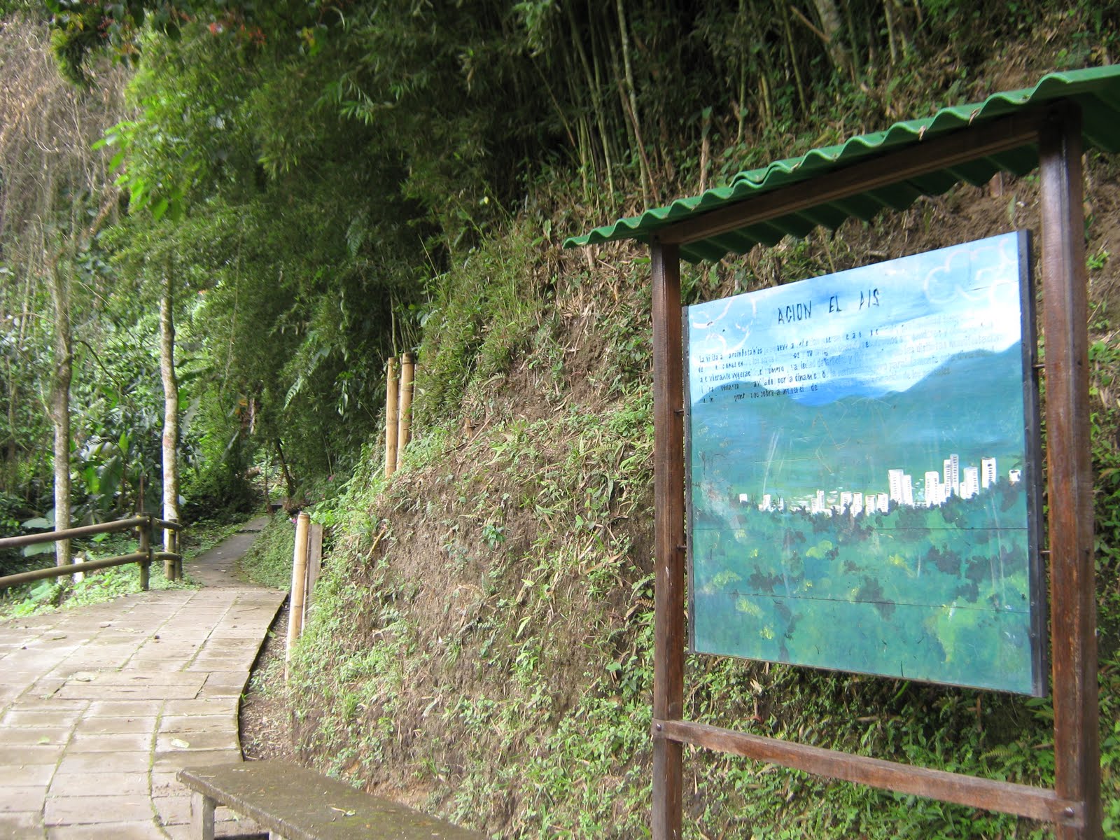 Jardínutp Jardín Botánico Universidad Tecnológica de Pereira