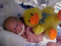 Braden