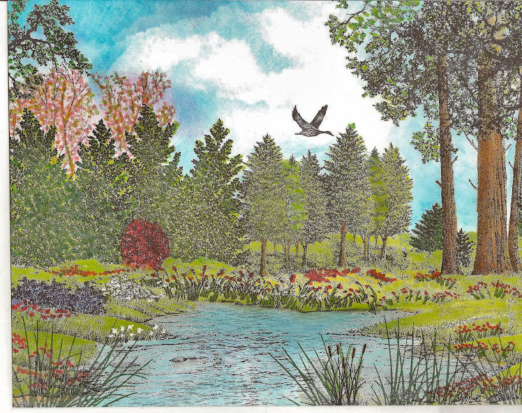 Wildflowers at the Cove