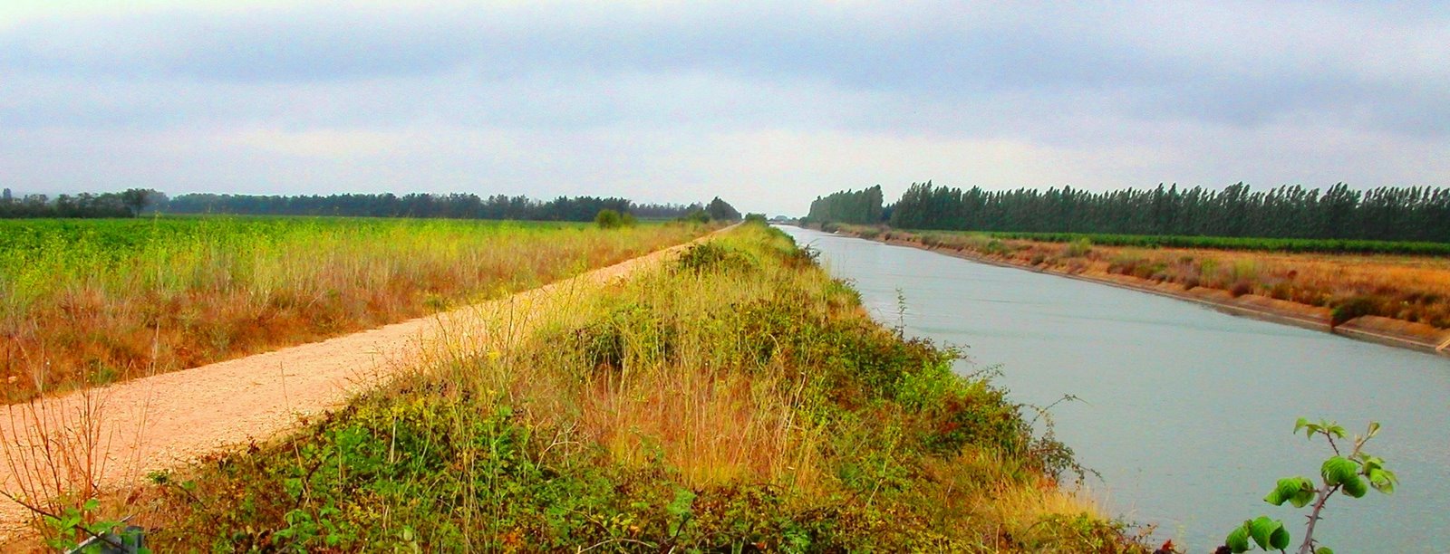 [pÃ¨lerin+Compostelle+020906+011.jpg]