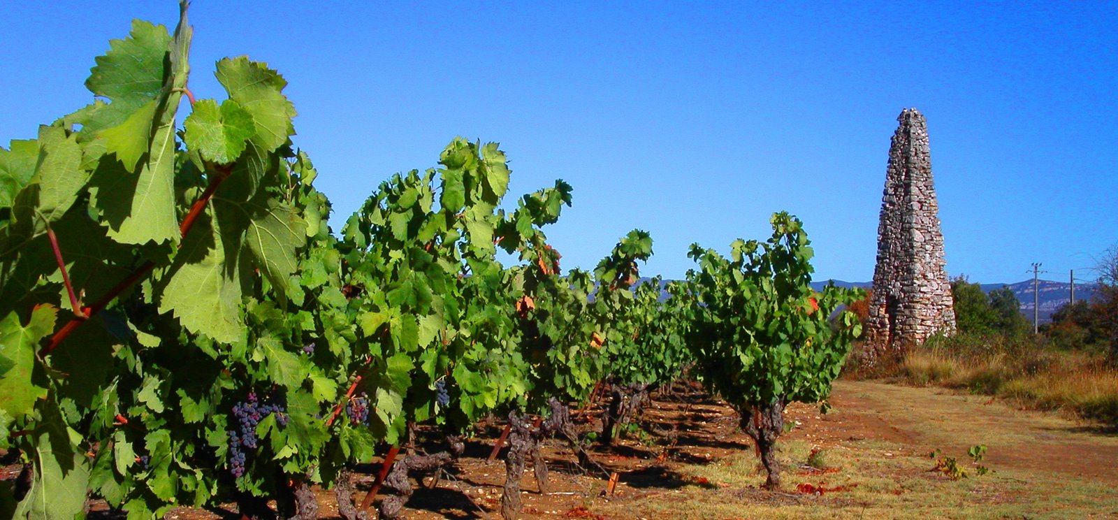 [pÃ¨lerin+Compostelle+020906+037.jpg]