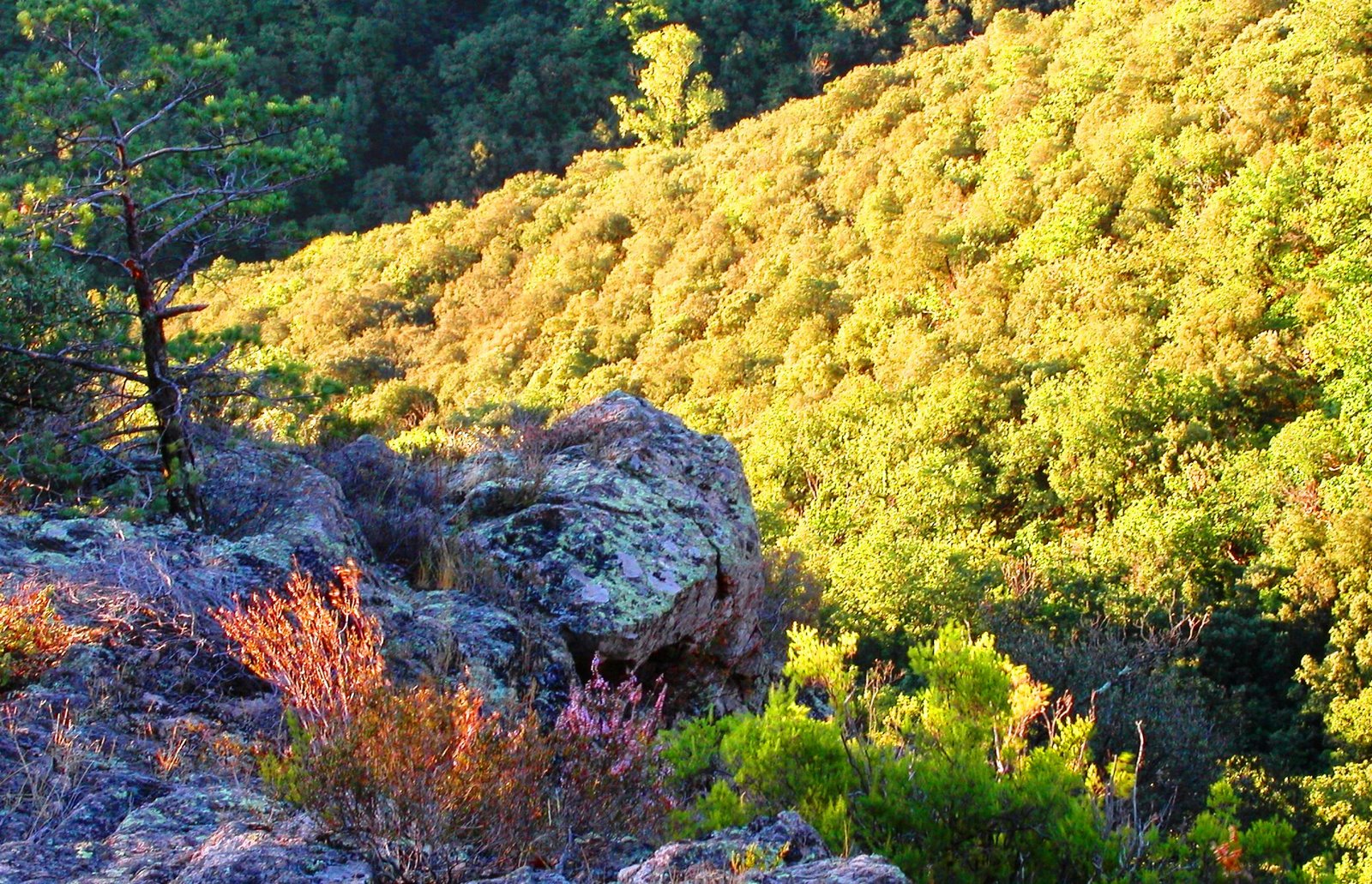 [pÃ¨lerin+Compostelle+020906+012.jpg]