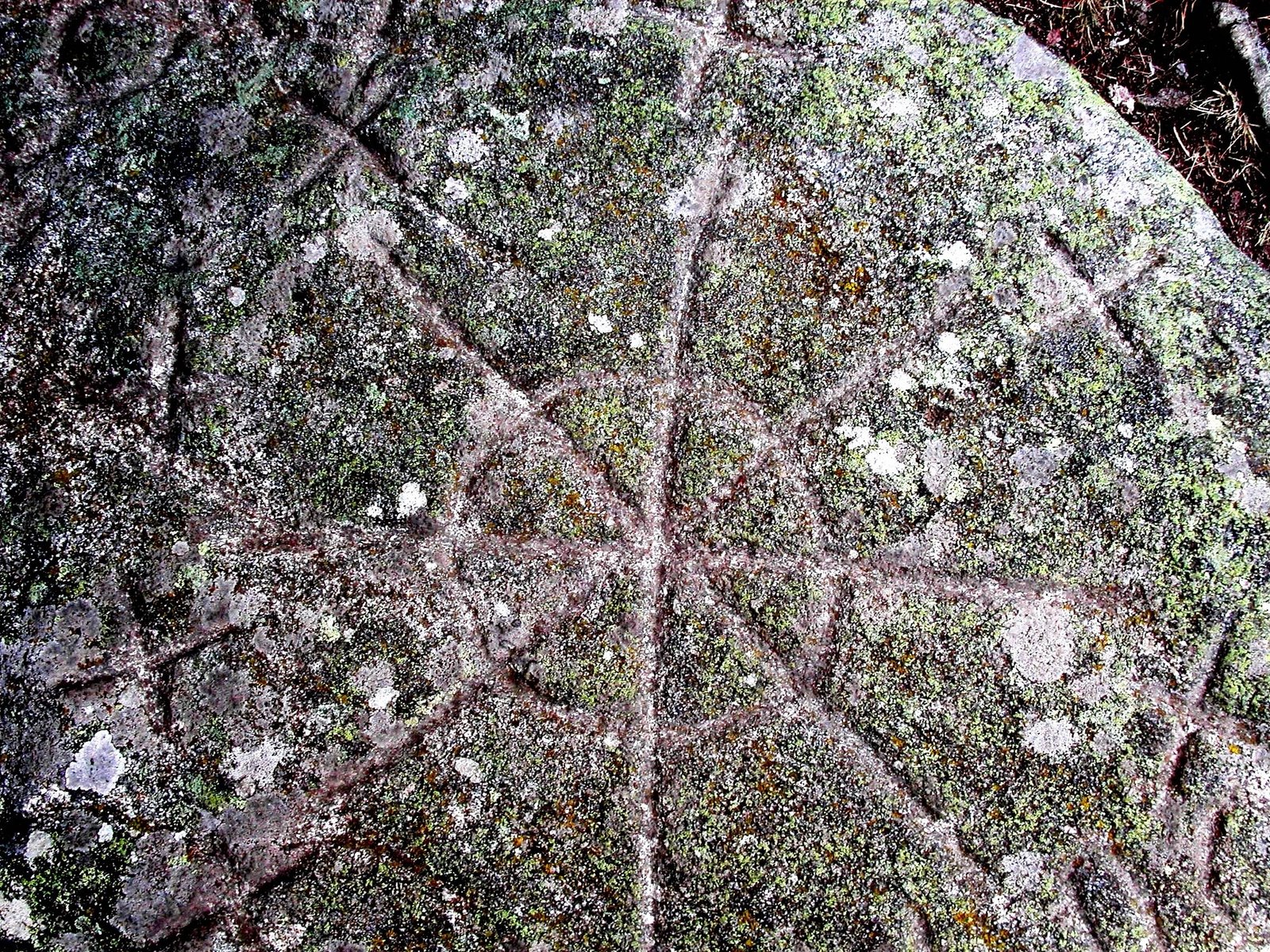 [pÃ¨lerin+Compostelle+020906+097.jpg]