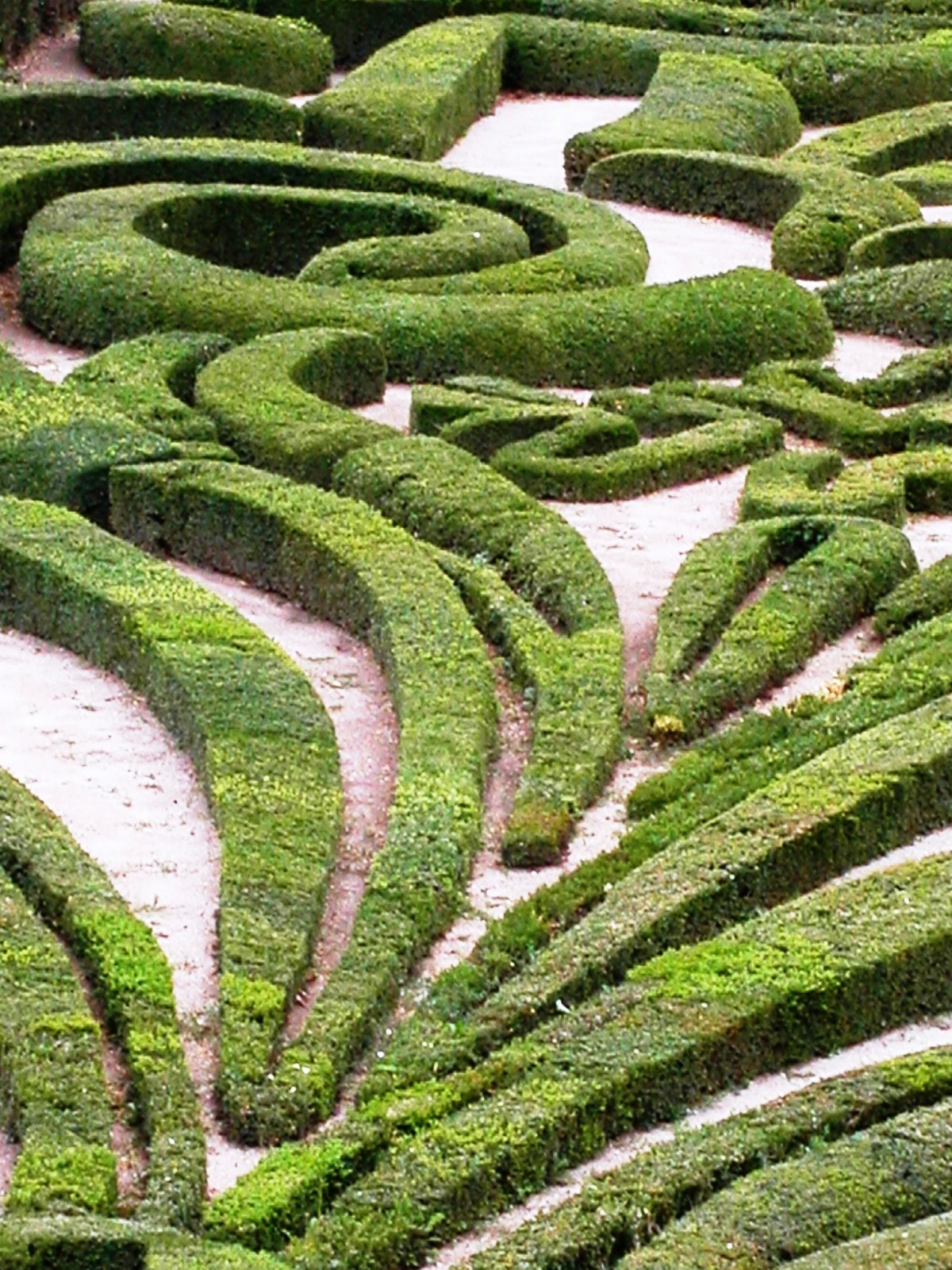 [pÃ¨lerin+Compostelle+020906+116.jpg]