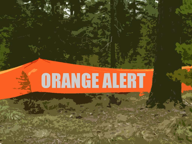 Orange Alert