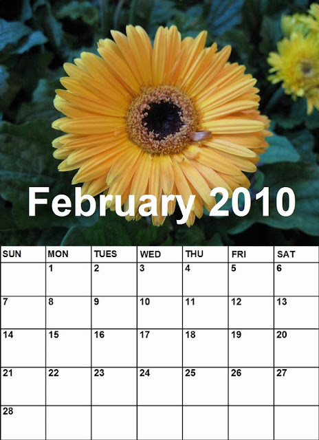 monthly calendar 2010.2010 monthly calendar