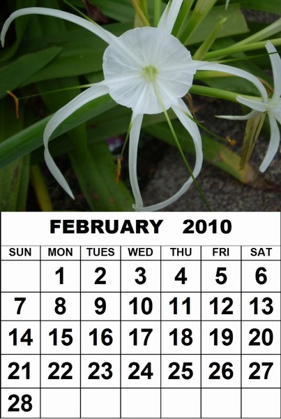 february 2010 printable calendar. February+2010+calendar+