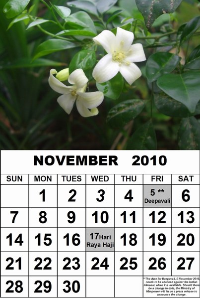Online calendar 2010 with