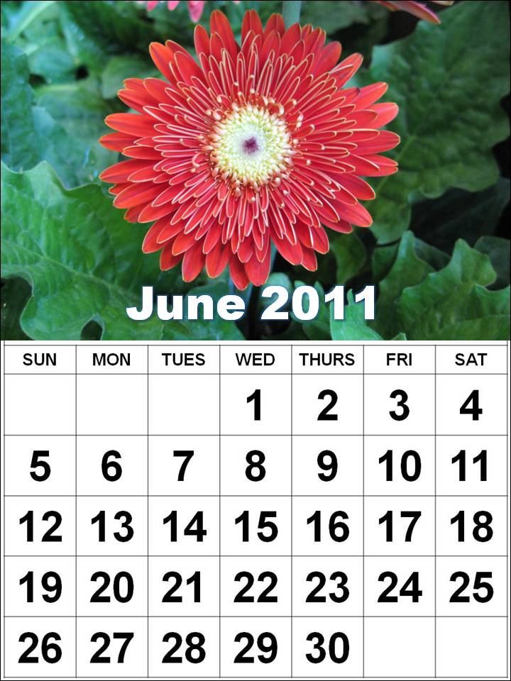 june 2011 calendar printable. june 2011 calendar printable