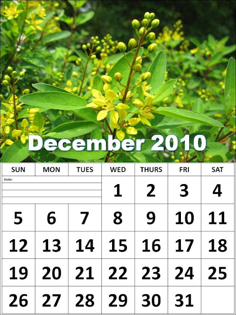 february 2010 calendar. February+2010+calendar+