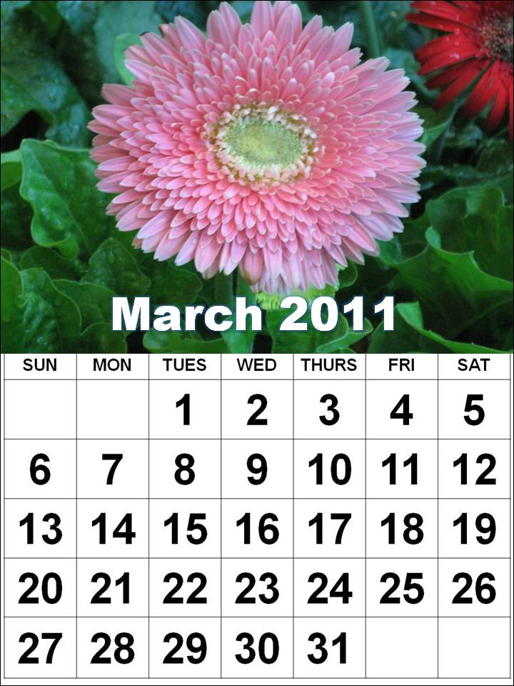 weekly calendar march 2011. orfeb Calendar+march+2011+