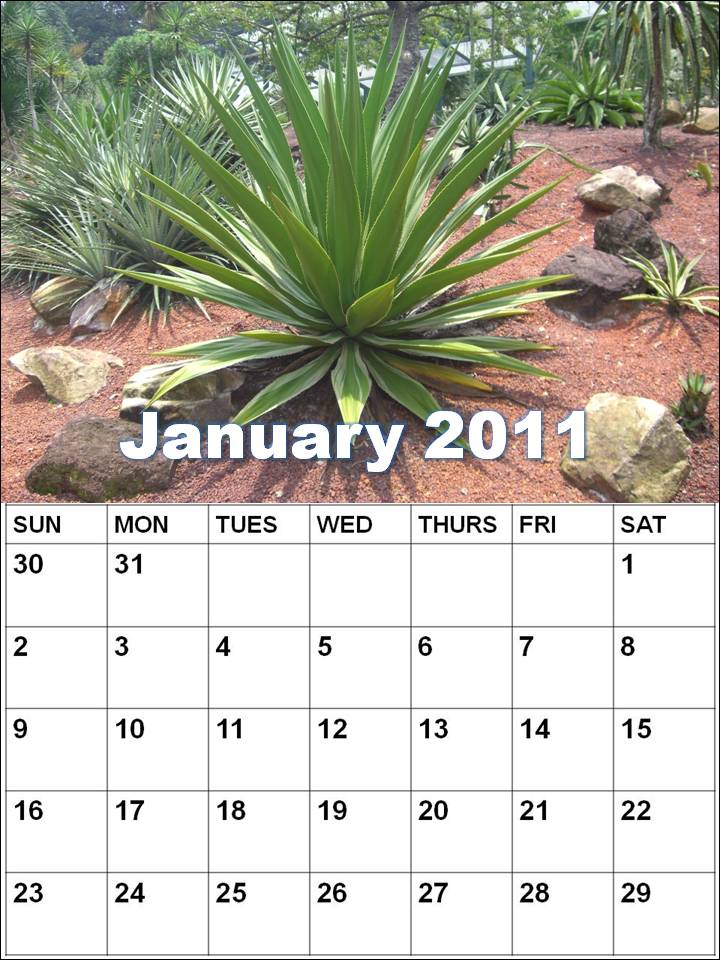 2011 calendar printable january. January 2011 Calendar With Holidays Printable. january 2011 calendar uk. january 2011 calendar uk. marshallbedsaul. Jan 18, 10:46 PM