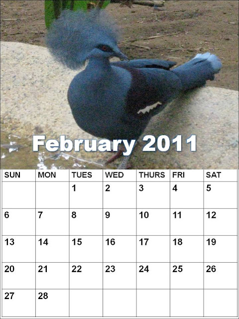 blank february calendar 2011. Blank Calendar 2011 February