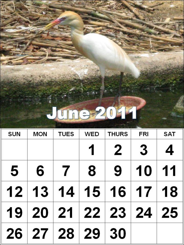 june 2011 calendar. 2011 June calendar,