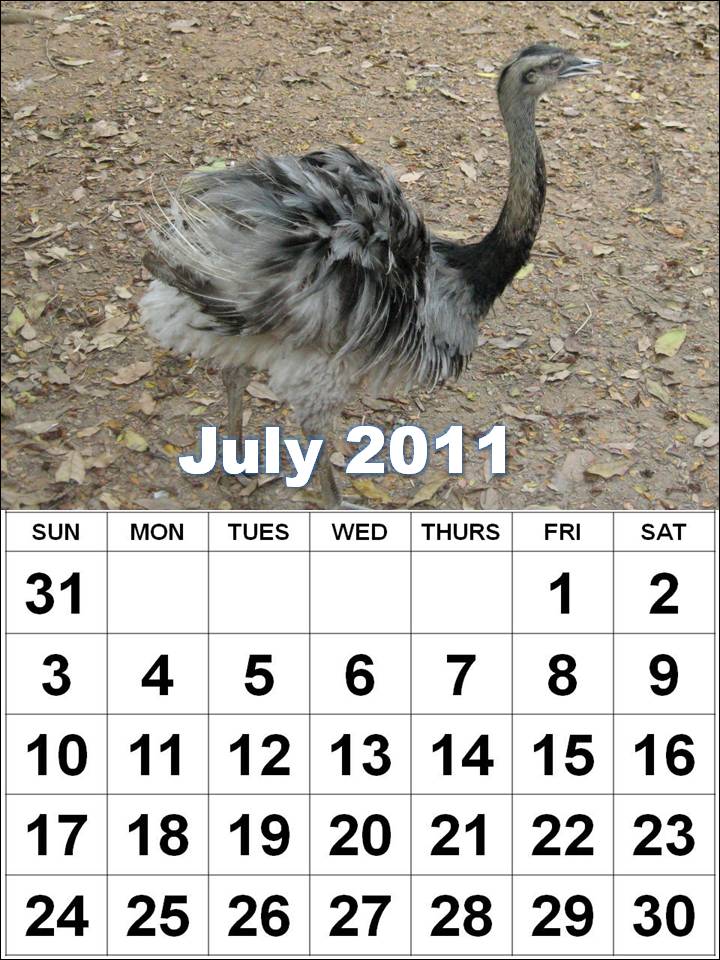 july 2011 calendar canada. july 2011 calendar