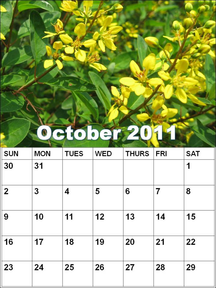 calendar for october 2011. October+calendar+2011