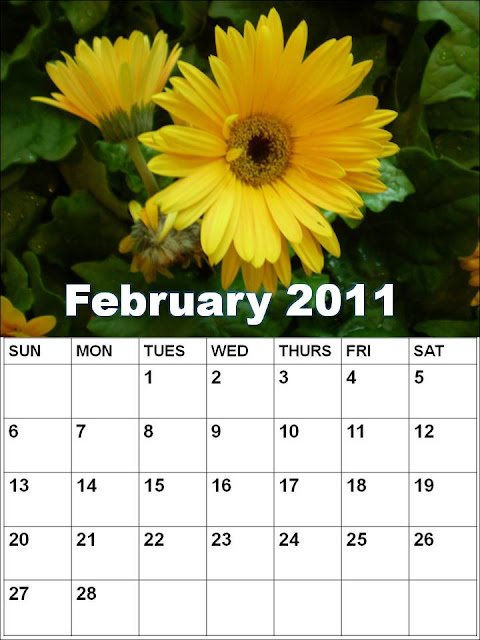 blank february calendar 2011. BLANK CALENDAR 2011 FEBRUARY