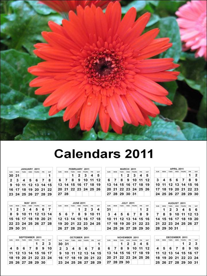 photo calendar template 2011. Schedule Calendar Template