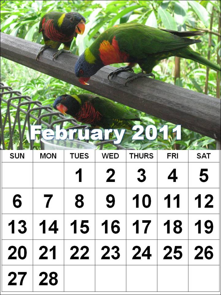 2011 calendar printable february. printable february calendar