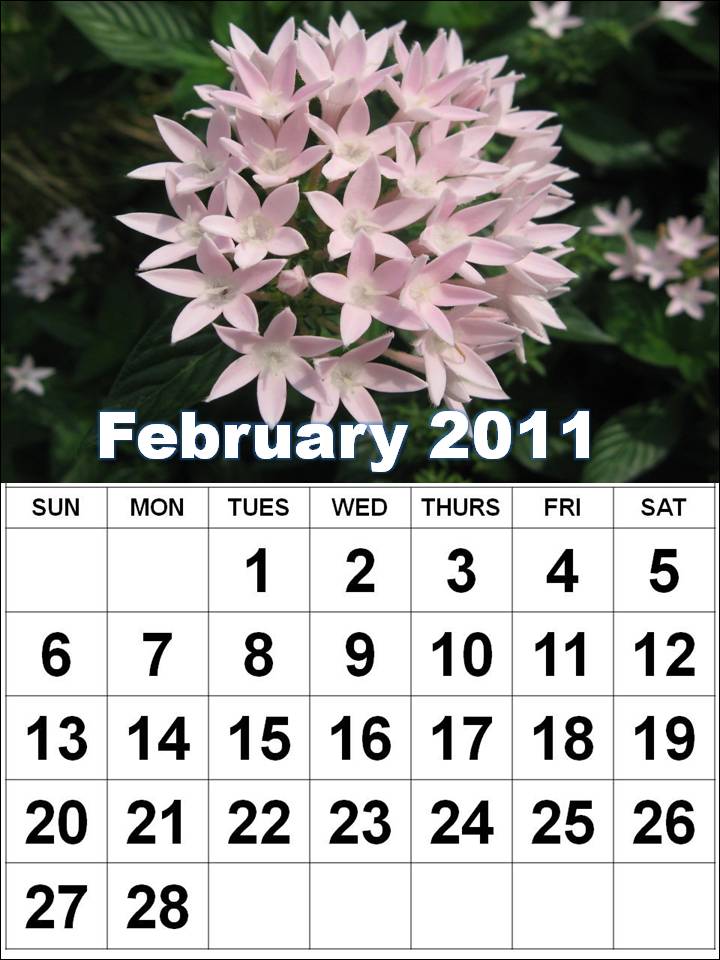 2011 calendar printable february. 2011 calendar february.