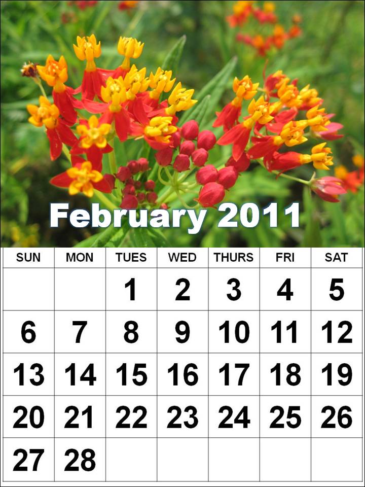 printable february calendar 2011. Free Printable February 2011